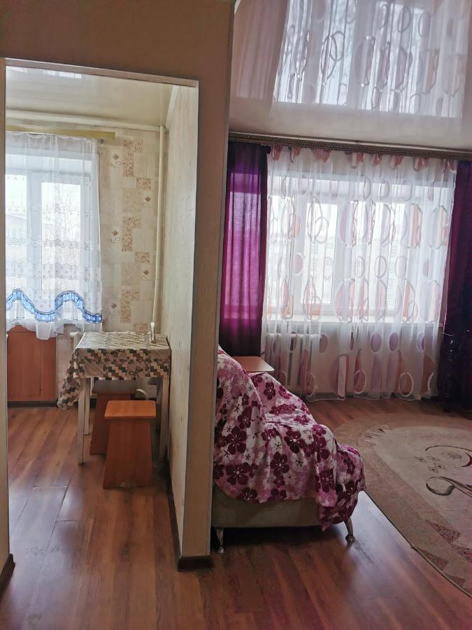 1 Комн Апартаменты В Центре Рядом С Парком 库斯塔奈 外观 照片